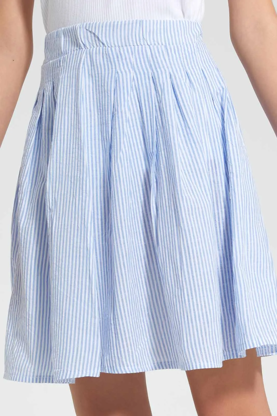 Blue And White Pleated Skirt