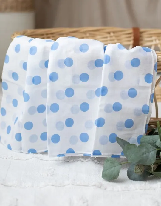 Blue Nap Time Essentials Baby Bundle