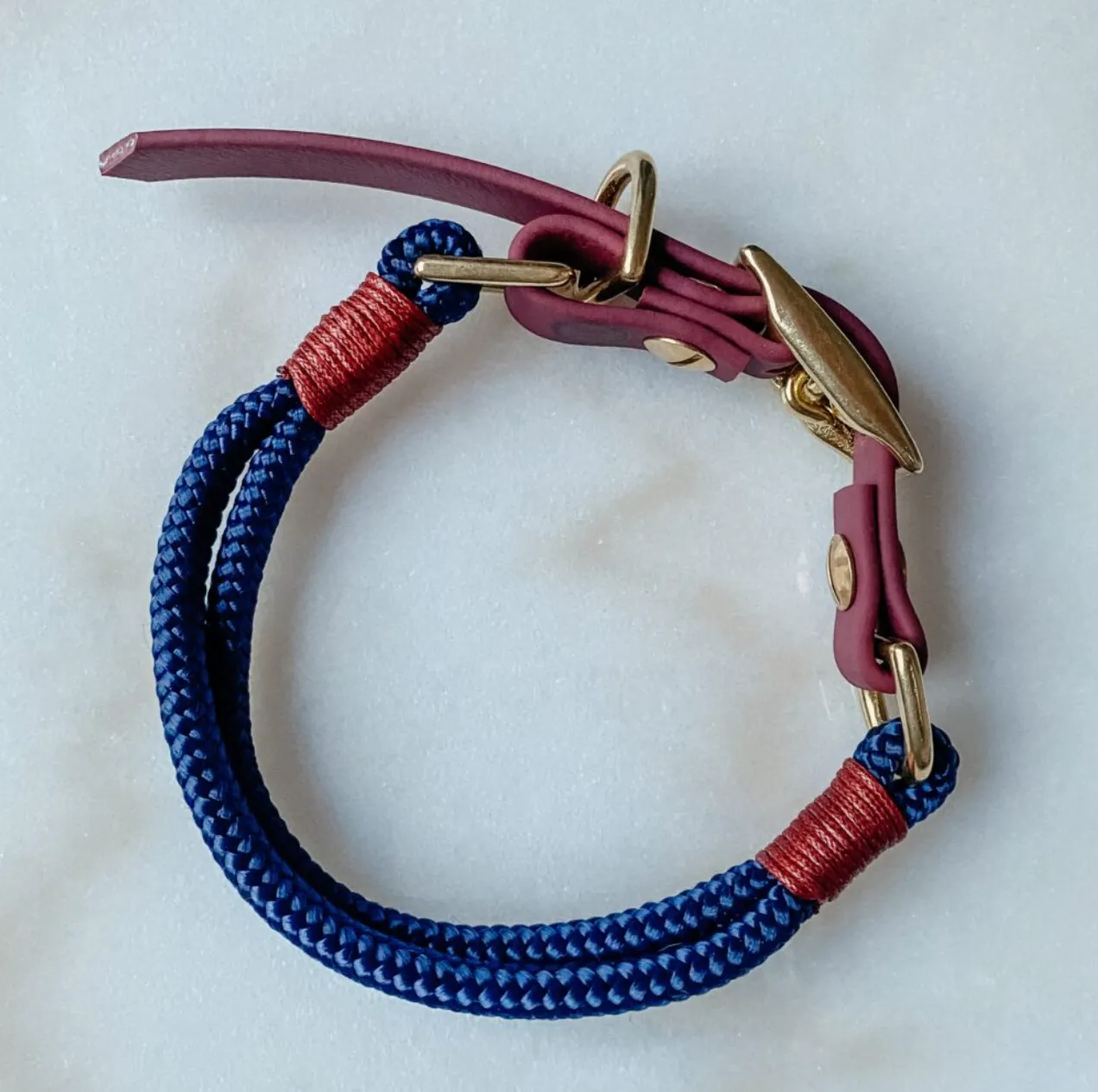 dog collar - the beach - paracord
