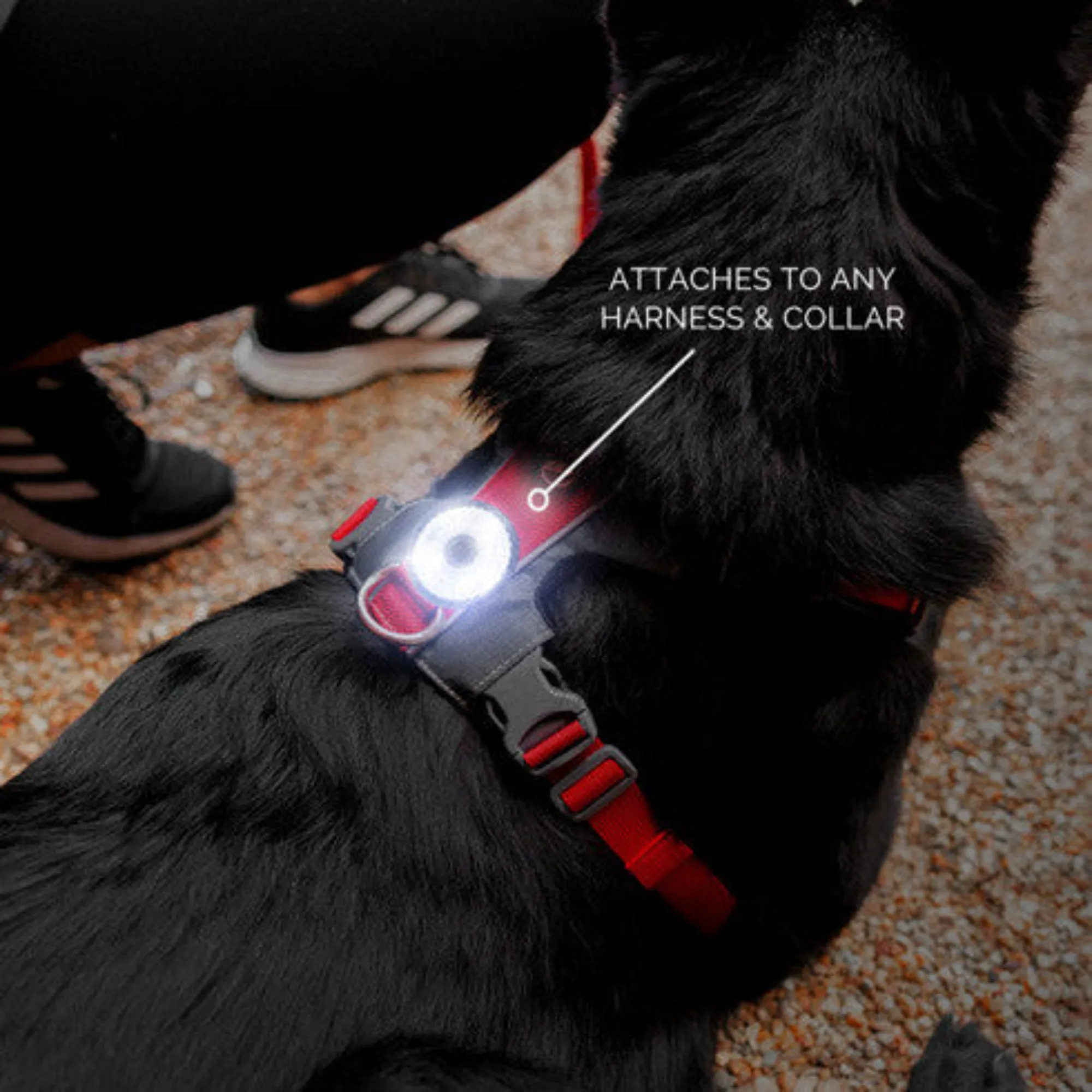 GO2 Light