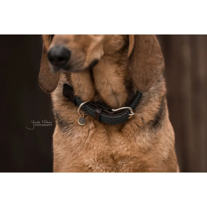 Kentucky Plaited Nylon Dog Collar