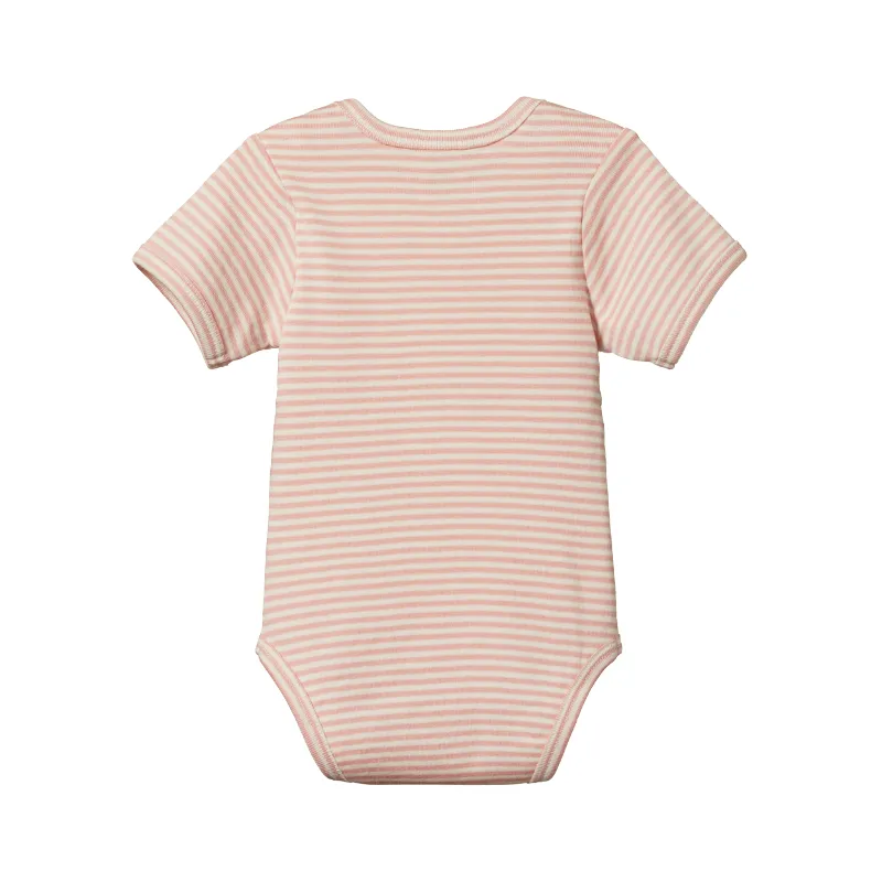 Nature Baby S/S Bodysuit - Lily Stripe