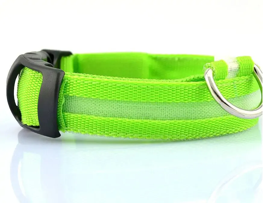 Pet Led Collar