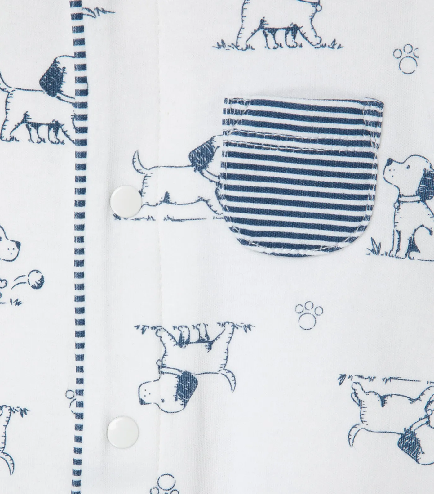 Puppy Toile Gift Box Blue Print