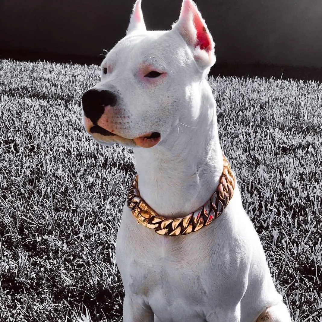 The Kilo Rose