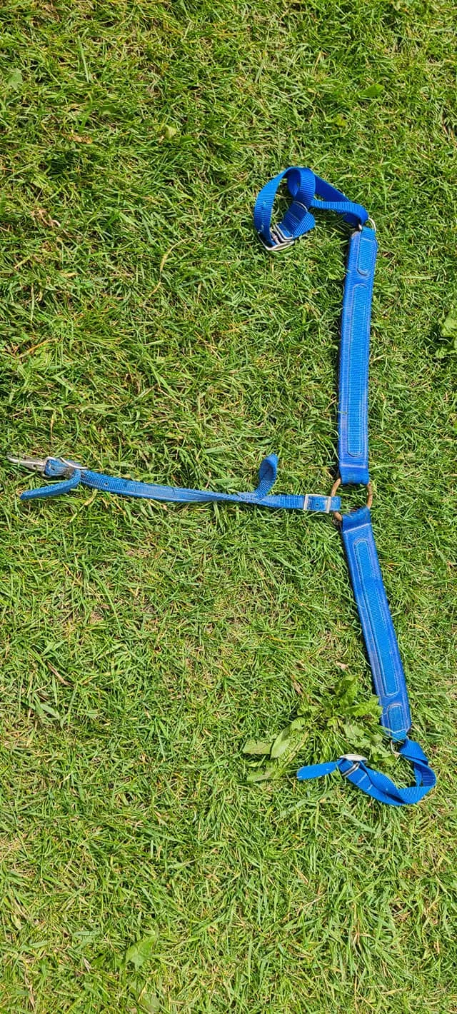 USED Nylon breast collar